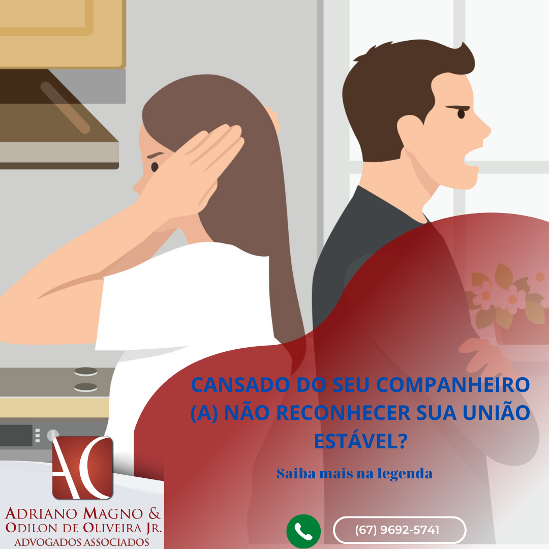 Compreendendo a União Estável: Seu Reconhecimento e Formalização
